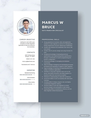 Data Migration Specialist Resume