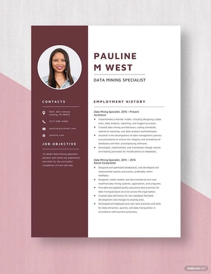 Data Mining Specialist Resume