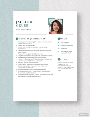 Excel Programmer Resume