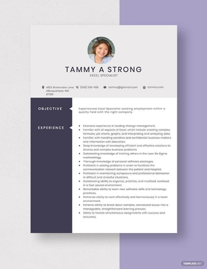 Excel Specialist Resume