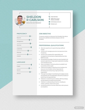 Executive Vice President Resume