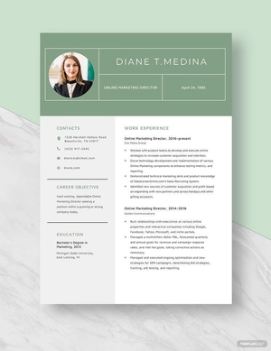 Online Marketing Director Resume