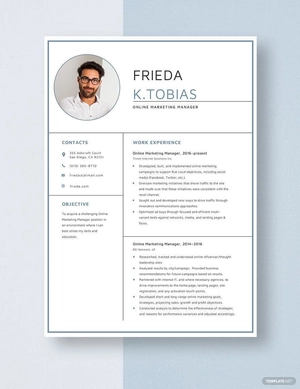 Online Marketing Manager Resume