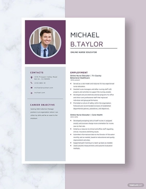 Online Nurse Educator Resume