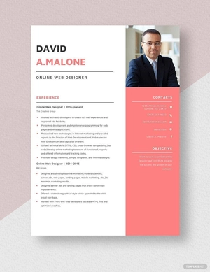 Online Web Designer Resume