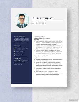 Division Manager Resume