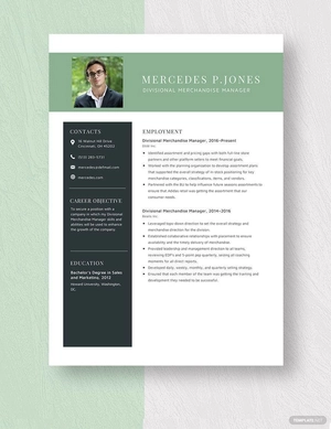 Divisional Merchandise Manager Resume
