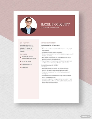 Electrical Inspector Resume