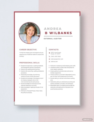 External Auditor Resume
