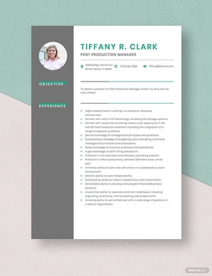 Post Production Manager Resume
