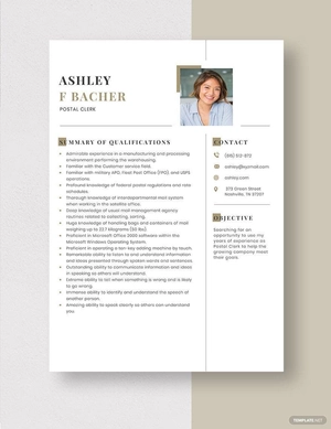 Postal Clerk Resume