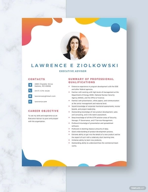 Executive Advisor Resume