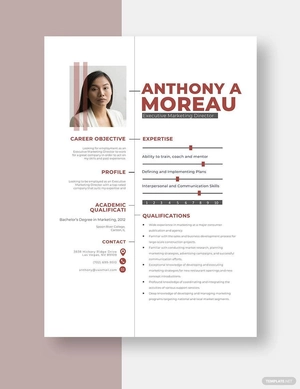Executive Marketing Director Resume