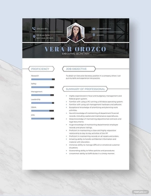 Executive Secretary Resume