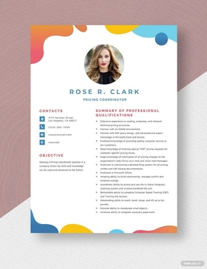 Pricing Coordinator Resume