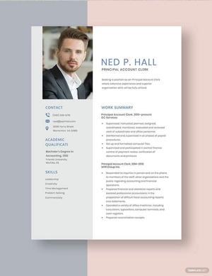 Principal Account Clerk Resume