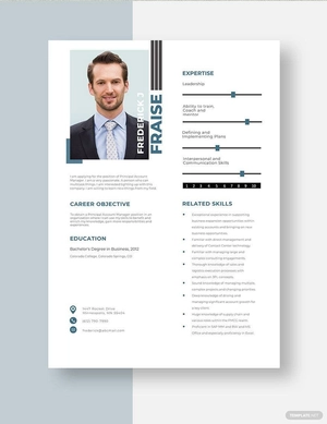Principal Account Manager Resume