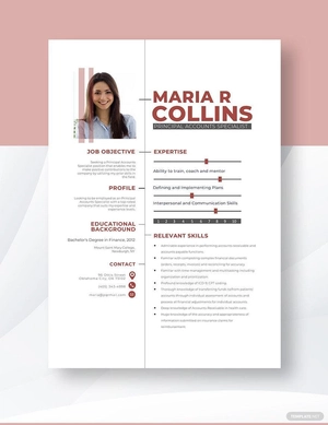 Principal Accounts Specialist Resume
