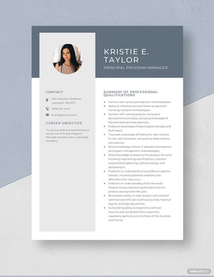 Principal Program Manager Resume
