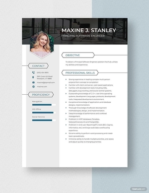 Principal Software Engineer Resume