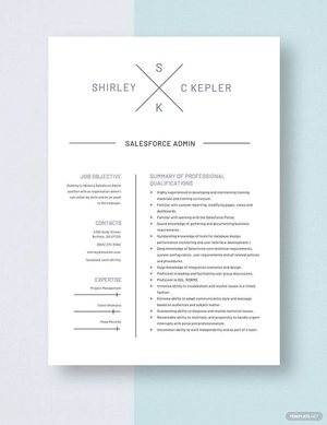 Salesforce Admin Resume
