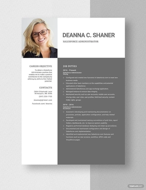 Salesforce Administrator Resume