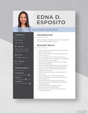 Salesforce Developer Resume