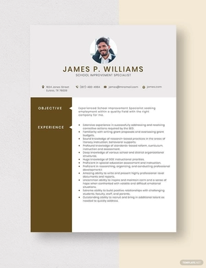 School Improvement Specialist Resume