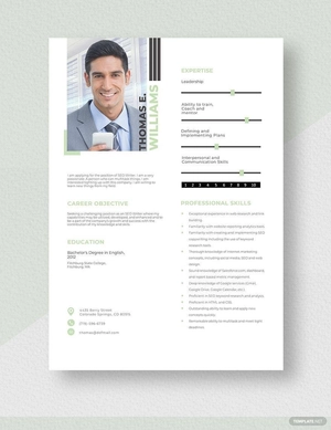 SEO Writer Resume