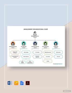 Management Organizational Chart Template