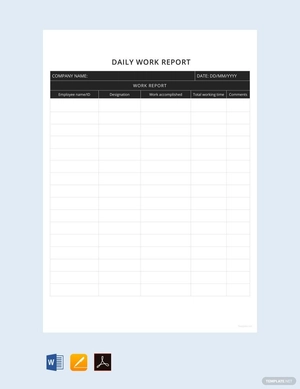 Sample Daily Work Report Template