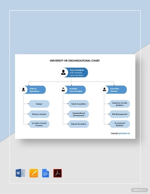 University Human Resources Organizational Chart Template