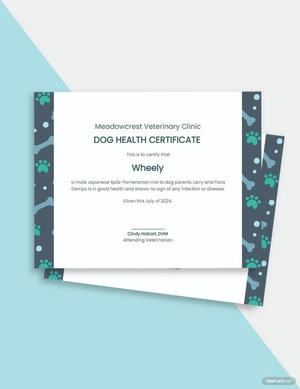 Dog Health Certificate Template