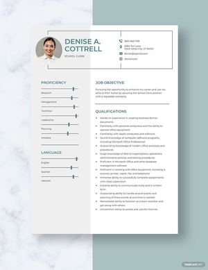 School Clerk Resume