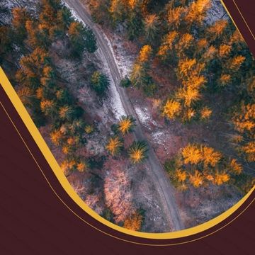 Free Germany Romantic Road Itinerary Template to Edit Online
