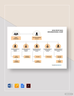 Non-profit NGO Organizational Chart Template