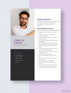 Beer Merchandiser Resume