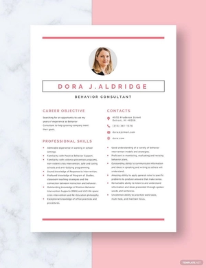 Behavior Consultant Resume