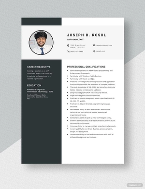 SAP Consultant Resume
