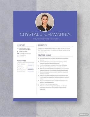 Online Business Manager Resume