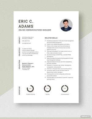 Online Communications Manager Resume