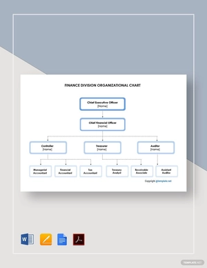 Finance Division Organizational Chart Template