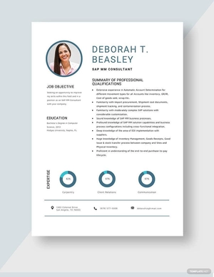 SAP MM Consultant Resume