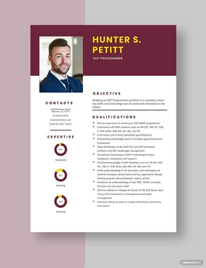 SAP Programmer Resume