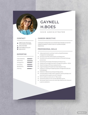 SCCM Administrator Resume