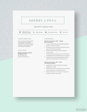 Security Consultant Resume