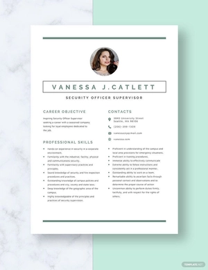 Security Officer Supervisor Resume