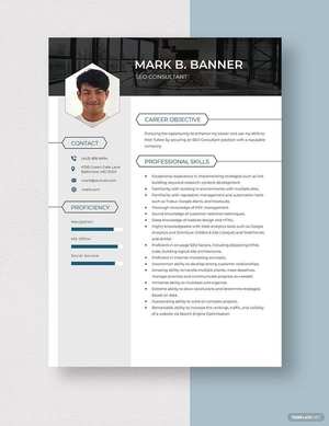 SEO Consultant Resume