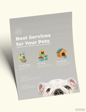 Pet Services Flyer Template