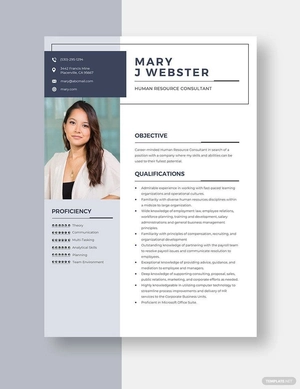 Human Resource Consultant Resume